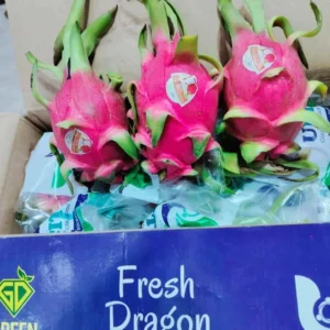 Dragon Fruit - Full Box 9kg