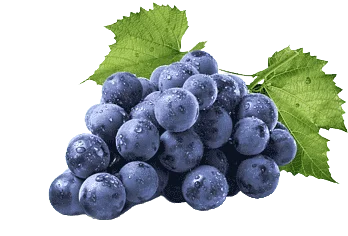 Grapes