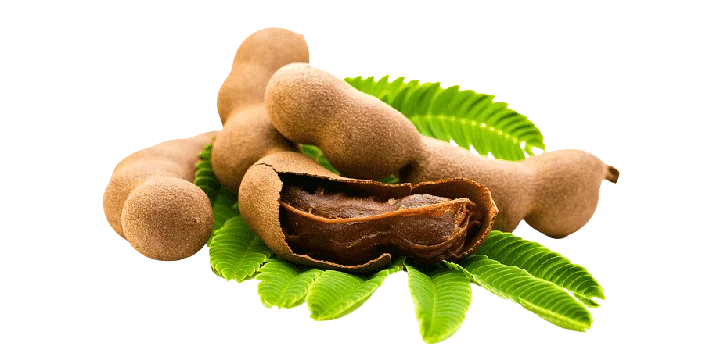 Tamarind