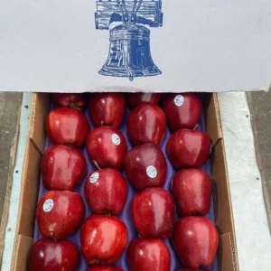 Washington Apple - 10kg