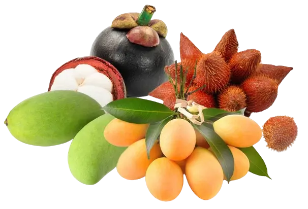Thai Fruits
