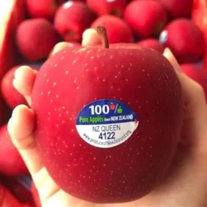 New zealand Queen Apple -9KG