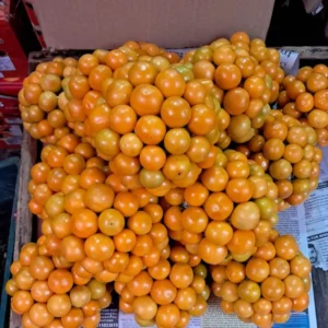 Rashbharii - 1kg (Bangalore)