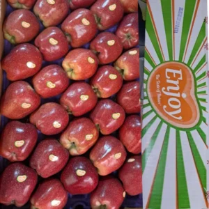 Apple Indain -( CA ) Enjoy