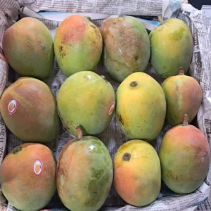 Perry Mango - 6kg ( 24 dana )