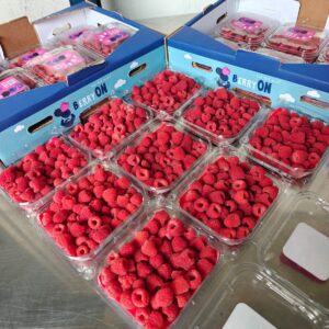 Raspberries (Thailand)