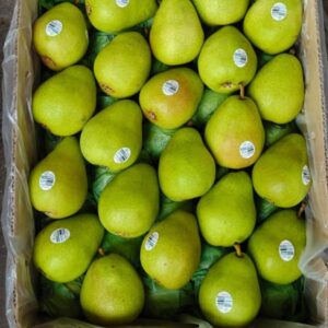 Washington Pear - 1kg